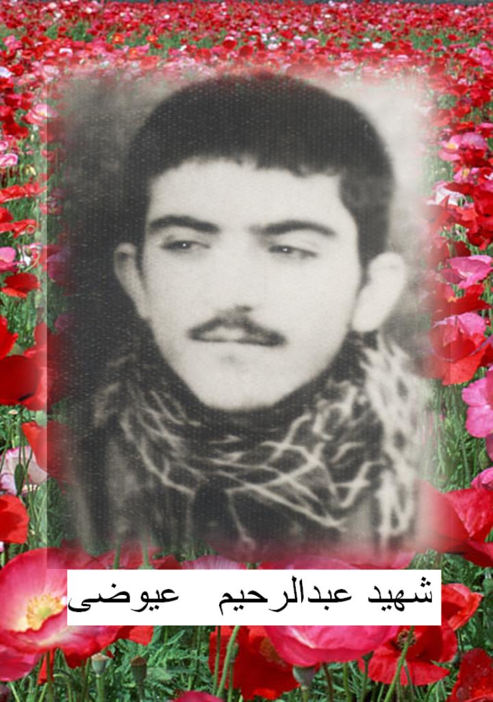 فاقد تصویر